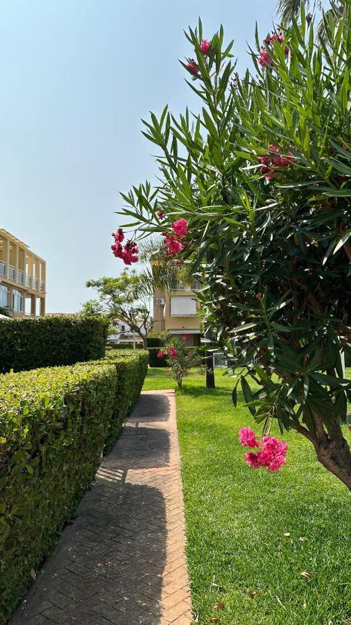 La Rosaleda 17 Apartment Denia Exterior photo